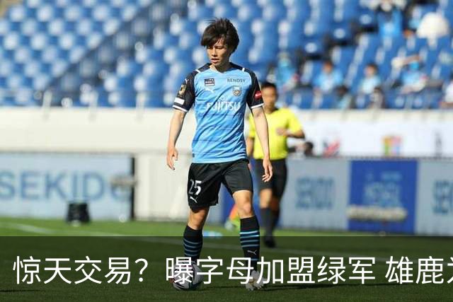 惊天交易？曝字母加盟绿军 雄鹿为布朗寻找第三方